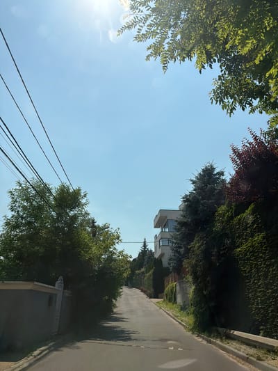 The image depicts a street in Kyiv, Ukraine, with a clear blue sky and dappled sunlight. On the left, telephone wires stretch diagonally across the sky, partially obscuring the view of a lush green tree and a low, grey wall. The street itself is paved and slopes upwards, disappearing into the distance. On the right side of the street, a modern, multi-story white building with large windows stands out against a backdrop of dense, dark green foliage. A tall, grey-green coniferous tree is situated in front of the building, and a wall covered in ivy extends along the right side of the road. Further up the street, the foliage appears denser, with trees and bushes creating a canopy that casts shadows on the road. The overall impression is of a residential street in a well-treed area.