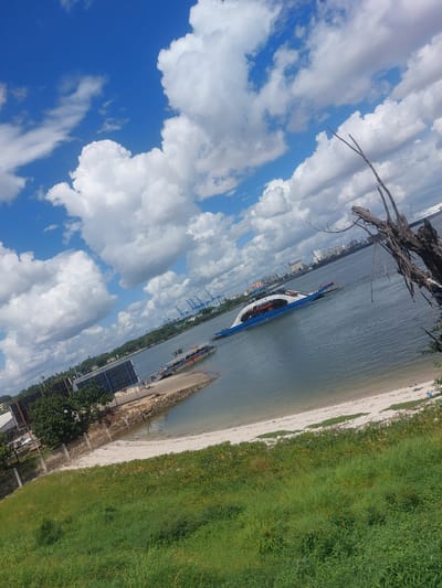 This photograph, taken in Dar es Salaam, Tanzania, presents a unique aerial perspective featuring a ferry docked near a sandy beach adjacent to a grassy area, framed by a cloudy blue sky. The foreground includes a leafless tree branch, adding depth to the composition. Visible in the background are cargo cranes and city buildings, indicating an active port area. The image orientation suggests it was taken from an elevated position.