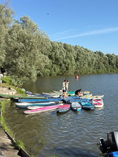 The image captures a sunny day scene at a waterfront, likely in Novosibirsk, Russia, with a dense, green forest bordering a calm body of water. The foreground features a dock or pontoon structure laden with numerous stand-up paddleboards (SUPs) of various colors and designs. Several people are present on the dock, some appearing to be preparing for or disembarking from water activities. One individual is crouched down, seemingly adjusting or inspecting a board, while another stands upright, holding a paddle. The water is slightly rippled, reflecting the bright daylight. In the background, the lush foliage of the forest creates a vibrant natural backdrop. A red buoy is visible in the water, and a bird is captured in flight against a clear blue sky. The overall atmosphere suggests a recreational outing on a pleasant day. The word "YAMAHA" is visible on a motor attached to the dock.
