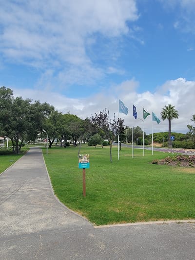 This is a photograph of a park or green space with a paved walkway in Quarteira, Portugal. The image is oriented vertically, with the sky occupying the upper left portion and the ground on the right.
The scene features a well-maintained lawn, a variety of trees, and several flagpoles flying flags. The flags are various shades of blue and green, with some appearing to have patterns or logos. In the background, there are more trees and what looks like a road with a pedestrian crossing sign. A palm tree is visible further back, suggesting a warm climate. A sign with an image of a dog and text is mounted on a post in the grass. The sky is blue with scattered white clouds, indicating fair weather. The time of day appears to be daytime, likely late morning or afternoon given the light. There are no people clearly visible in the image. The overall impression is one of a pleasant outdoor recreational area.
The visible text on the sign appears to be in Portuguese: "NÃO FAÇA O SEU CÃO...". The rest of the text is too small to be legible.