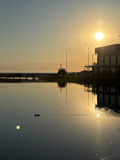 The image depicts a mirrored view of a building and a sunset over a body of water. The sun, a bright orb with a strong halo, is positioned in the upper left portion of the frame, casting a warm, golden light. To the right of the sun, a modern building with glass windows and a prominent sign is visible. The building's reflection is clearly seen in the water below.
The water surface is disturbed by ripples, creating a distorted yet captivating reflection of the scene above. A lone figure, silhouetted against the water, is in motion, possibly riding a watercraft. In the lower right of the mirrored image, a faint, circular object with a textured pattern appears, possibly a distant light source or a reflection on the water's surface.
Several lampposts with a modern design are also present, some visible in the original scene and others reflected in the water. The overall mood is serene and tranquil, evoking a sense of calm beauty associated with sunset. The sky transitions from a bright yellow near the sun to a softer, muted grey-blue.
The text on the building appears to be in Cyrillic script and reads "БОРОДИНСКАЯ". The scene is likely set in Anapa, Russia, given the provided location context. The time of day is clearly sunset, and the weather appears to be clear and calm, suitable for reflections on the water.