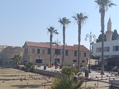 The media file shows an outdoor scene with a large stone building with a red-tiled roof, palm trees, and a mosque minaret in the background. In the foreground, a flock of pigeons is gathered on a paved area and on the ground, some of which appear to be pecking at the ground. Several people are visible, some walking, some standing, and one riding a scooter. There are also benches and trash bins present. The lighting suggests it is daytime, likely sunny with clear skies. The presence of palm trees and the architecture, particularly the mosque, point to a location in a warm, likely Mediterranean climate. The overall atmosphere appears casual and public, perhaps a promenade or a town square. No discernible text is visible in the image. The scene is likely in Larnaca, Cyprus, given the context provided.