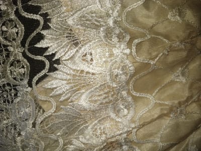 A close-up, high-angle forensic photograph captures a section of textile, specifically white lace embroidered onto or layered over a champagne-colored fabric, located in the city of Na Sang, Laos. The intricate white lace features two primary patterns: a denser, curvilinear design with circular floral or medallion motifs dominating the left side, and a lighter, more open pattern of feathered or leaf-like forms fanned out towards the center and right. Some areas of the lace exhibit a loosely geometric, net-like structure. The underlying champagne fabric displays minor folds and wrinkles, suggesting a soft, possibly silk or satin material. In the upper-left and through sparse areas of the lace, a dark, potentially black, background is visible. No individuals, actions, or interactions are depicted.