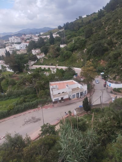 The image shows a high-angle view of a neighborhood in Tétouan, Morocco, with a mix of residential buildings and green spaces. The architecture consists mainly of white buildings, some with orange tile roofs. The foreground features a road with a red-and-white curb, bordered by lush vegetation. People are visible on the road and sidewalks, suggesting pedestrian activity. A car is parked on the street. The background shows a hillside covered in trees and more buildings nestled into the landscape, indicating the city's topography. The sky is overcast.