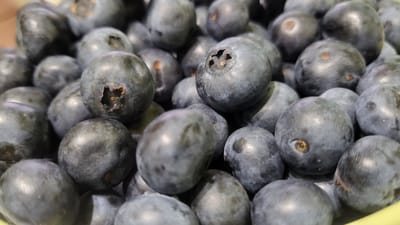 This media file is a close-up, high-angle shot of a pile of blueberries. The blueberries are a deep blue-purple color, with some appearing slightly dusty or powdery. They are round or slightly oval in shape, and many have the characteristic blossom end scar visible. Some blueberries are perfectly smooth, while others have subtle blemishes or the appearance of light. The lighting suggests it is daytime, possibly indoors given the controlled lighting and lack of shadows from natural sources. The focus is sharp on the foreground blueberries, with the background becoming increasingly blurred, creating a shallow depth of field. The overall impression is one of abundance and freshness, showcasing the texture and color of the fruit. There is no visible text in the image. The setting is a pile of blueberries, likely in a bowl or container, hinting at a culinary context such as preparation for eating or cooking. The context of Марковский, Russia, suggests these could be locally grown or a common fruit available in that region.