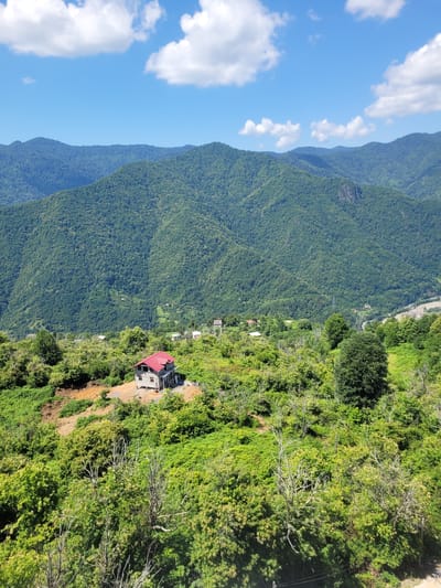 A wide-angle, high-angle shot captures a vibrant green mountain landscape with scattered buildings under a blue sky dotted with white clouds. In the foreground, lush green foliage and trees create a dense canopy. A small, grey house with a bright red roof stands on a patch of bare earth, surrounded by greenery. The house appears to be under construction or in disrepair, with visible scaffolding and unfinished sections. Further in the background, more buildings are visible nestled amongst the trees, suggesting a small village or scattered dwellings within the mountainous terrain. The imposing, tree-covered mountains dominate the background, stretching towards the horizon. The scene appears to be in Milisi, Georgia, characterized by its mountainous topography and rural settlements. There are no people or animals visible in the image.