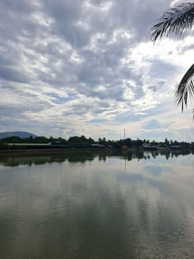 This vertical, eye-level shot captures a serene riverfront scene in Nha Trang, Vietnam. The sky is filled with dramatic, textured clouds in shades of gray and white, with hints of blue peeking through. The water in the foreground is calm, reflecting the cloudy sky and the lush green foliage that lines the opposite bank.
Along the riverbank, a line of buildings and trees can be seen. The buildings appear to be predominantly low-rise, with some structures supported by stilts or built on elevated platforms over the water. Several tall, slender antennae or communication towers rise above the trees. The trees themselves are a mix of broadleaf and palm varieties, indicating a tropical or subtropical climate. A distant, hazy mountain range forms the backdrop on the left side of the image.
In the upper right corner, the fronds of a palm tree hang into the frame, adding a tropical touch to the composition. The water's surface is gently rippled, creating a soft, impressionistic reflection of the scene above. The overall mood is peaceful and slightly overcast, suggesting a quiet afternoon by the water. There are no people or animals visible in the image.