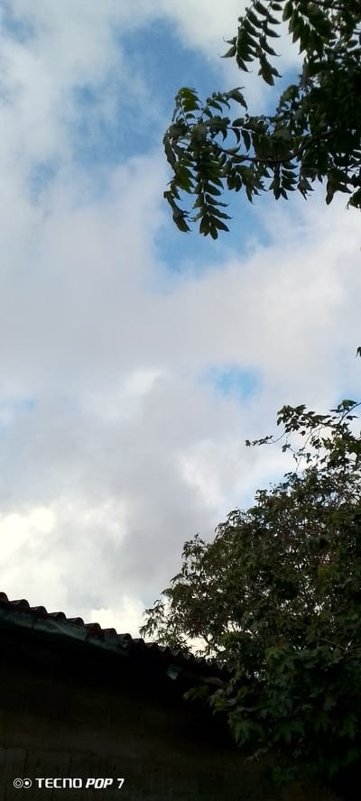 The image shows a view from beneath a corrugated roof, looking up at a partly cloudy blue sky. Lush green foliage from two trees is visible, one in the upper right corner and another larger cluster in the lower right. The lower part of the image includes a dark, textured wall with the brand name "TECNO POP 7" in white text at the bottom left corner. The overall scene suggests an outdoor setting in Altagracia, Venezuela, likely during daylight hours. There are no people or discernable actions depicted.