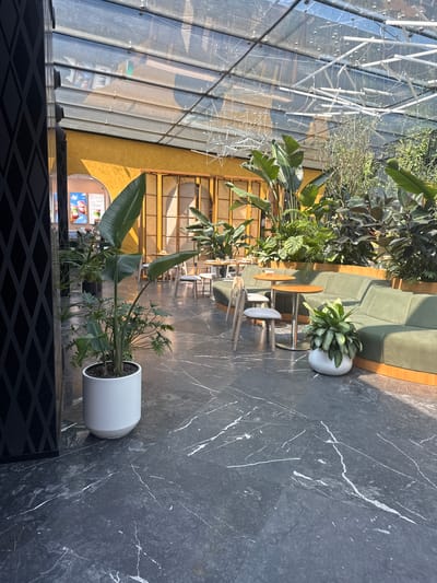 This vertical shot captures an indoor seating area with a modern, botanical ambiance. The scene is dominated by a dark, marble-patterned floor, reflecting the overhead glass ceiling and metal light fixtures, suggesting it's daytime. Lush greenery is a prominent feature, with several large potted plants, including a bird of paradise plant with its distinctive leaves, scattered throughout the space.

To the left, a large glass roof allows natural light to stream in, illuminating a complex network of white metal supports and wires. Behind the plants, a curved, sage-green sofa curves around a seating area with small, round wooden tables and chairs. The background reveals a wall with a warm yellow hue, featuring wooden lattice-like dividers.

In the far background, to the left, a brightly colored advertisement poster is visible on a wall, featuring images of ice cream or frozen desserts. Text on the poster appears to be in a non-Latin script, possibly Cyrillic or Kazakh. The overall impression is a contemporary and inviting indoor space, perhaps a cafe or restaurant, designed to feel open and filled with natural light and plants. No people are visible in the image.