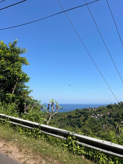 An aerial view captures a lush, green hillside overlooking the ocean under a clear blue sky in Karangasem, Indonesia. A metal guardrail runs along the left side of the frame, with dry grass and scattered green vegetation growing around it. In the distance, several houses with red-tiled roofs are nestled among the trees on the slope. The vast expanse of the ocean stretches to the horizon, meeting the sky in a soft blue line. A solitary bird is visible soaring in the clear sky. Overhead, black power lines stretch across the frame, dividing the sky. The scene is peaceful and serene, showcasing the natural beauty of the Indonesian coastline.