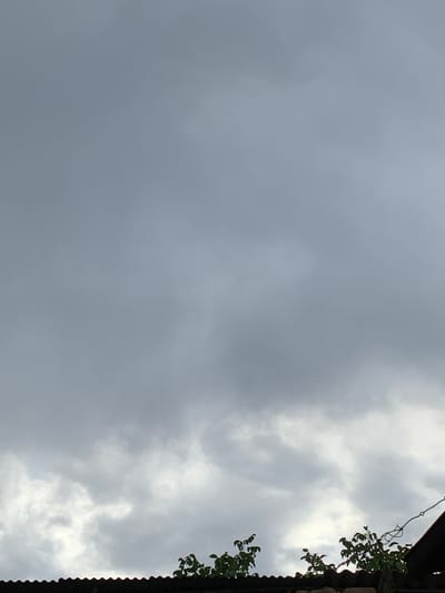 The image shows a cloudy sky with the tops of trees and a corrugated roof visible in the lower portion. The sky is predominantly gray, indicating overcast conditions. The trees are green and leafy, and appear to be growing near a structure with a dark, corrugated roof. There is a strand of barbed wire visible in the upper right corner, attached to a wooden post. The scene suggests an outdoor environment in a residential or semi-urban area. There are no people or active events depicted in the image. The lighting is diffused due to the cloud cover, resulting in a muted color palette.