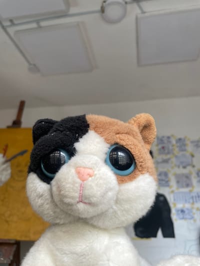 A close-up image features a plush toy, likely a cat or other animal, dominating the frame. The toy has distinct patches of fur: brown on the top of its head and ear, white on its face and body, and a black section covering its left eye and lower jaw. Its most prominent features are two large, reflective blue eyes that show reflections of internal light sources or window frames. A small, pink, embroidered nose and a faint stitched mouth are visible on its white snout.

The background indicates an indoor setting. To the left, a light-colored wall displays two rectangular, light-grey panels, possibly whiteboards or framed pictures, connected by a slender metal structure. In the upper right and central background, behind the toy, a patterned surface, which could be wallpaper or a bulletin board covered with small items, is dimly visible. Below the toy, a warm-toned, possibly wooden surface appears.

No specific activity is taking place; the toy appears stationary, likely positioned for the photograph. The lighting is bright and even, suggesting either natural daylight from an unseen window or strong artificial illumination indoors. There are no direct visual cues in the image to confirm the location as Ado, Nigeria. No text is visible in the media file.