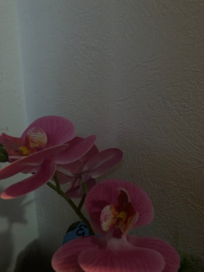 The scene depicts several artificial pink phalaenopsis orchids positioned indoors against a white, textured wall. The wall exhibits an irregular, wavy relief pattern. The orchids feature multiple blooms with light pink petals and prominent yellow and white centers. No individuals are present. A small, partially visible blue object, possibly adorned with a dark, illegible character, is situated behind the orchid stems, towards the lower-left quadrant. The image provides no discernible features to indicate a specific location within the city of Saverne, France.