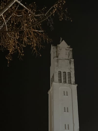 A nighttime upward-angled photograph captures the upper section of a weathered, off-white architectural tower, identified as the bell tower of the Cathedral of Notre-Dame de l'Assomption in Tangier, Morocco. The tower, exhibiting a rectangular cross-section, culminates in a pointed gable roof topped with a Christian cross. Below the gable, three vertically aligned, rectangular belfry openings are visible, each containing multiple horizontal slats. Further down the tower, multiple tiers of smaller, recessed, rectangular window-like openings are arranged vertically on its visible facade. In the upper-left quadrant, a deciduous tree branch, barren of leaves, extends into the frame, laden with numerous small, spherical, light-brown fruits or berries. The background is uniformly dark, indicating a nighttime setting with no other celestial or environmental features visible. No people or overt actions are depicted.