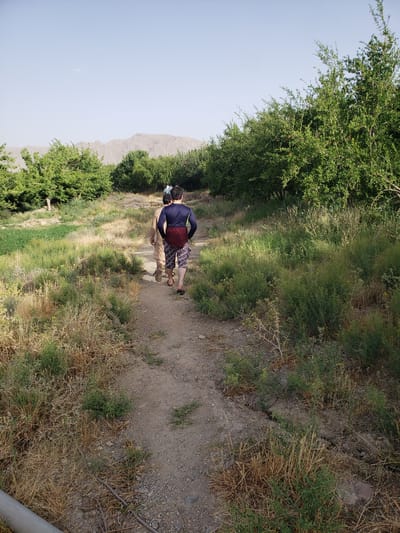 Two individuals walk along a dirt path flanked by vegetation, possibly in Arghandab, Afghanistan. One person is slightly ahead, wearing a dark long-sleeved shirt, patterned shorts, and sandals. The second person behind wears tan-colored clothing. A mountain is visible in the background, left of the pair. Lush trees line the left side of the path, while drier grasses grow on the right. The path has a sandy and rocky texture.