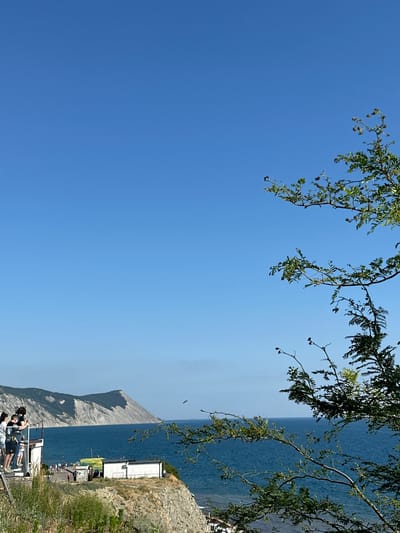 The image captures a coastal scene with a clear blue sky and a calm blue sea. In the foreground, a lush green tree branch with sparse leaves extends from the right side of the frame, obscuring a portion of the view. On the left, a group of people are standing on a raised platform, looking out at the sea. Below them, a white building and a yellow structure are visible near the coastline. Further in the distance, a large, grey, mountainous landmass with distinctive layers stretches across the horizon. The location is the city of Anapa, Russia.