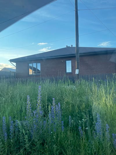 A residential brick house with a dark roof is partially visible behind a wooden fence and tall green grass with scattered blue and white wildflowers. A wooden utility pole stands in front of the house, with power lines extending across the bright blue sky. One window on the house reflects the sky and possibly another structure. A notice is attached to the utility pole. The image appears to be taken from a slight distance, suggesting it could be a residential area on the outskirts of Votkinsk, Russia, given the natural elements and single-family dwelling. There are no people or animals visible in the scene.