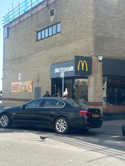 The image shows a McDonald's restaurant in Folkestone and Hythe District, United Kingdom. The building is made of light-colored brick. A black car, license plate WM64 CXF, is parked in front of the restaurant. A person wearing a green high-visibility vest is standing near the entrance. There are two pigeons, one on the hood of the car and one on the ground. A banner advertising "McCrispy" is hanging on the building. Scaffolding is visible on the left side of the image.