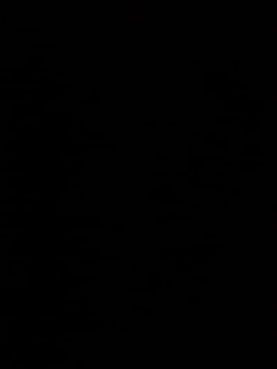 This is a black image. No subjects, activity, notable details, or text are visible.