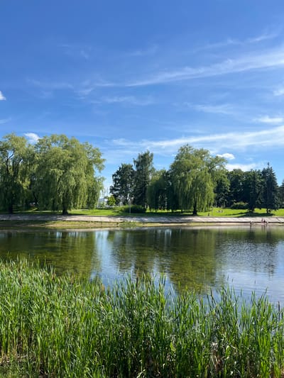 In Minsk, Belarus, a tranquil park scene unfolds with a focus on a calm body of water. In the foreground, lush green reeds, including cattails, stand tall, creating a natural border to the water. The water itself is a deep green, reflecting the surrounding trees and the bright blue sky dotted with wispy white clouds.
Across the water, a paved pathway runs along the edge of a grassy bank. On the bank, several large, mature trees with dense, leafy canopies dominate the landscape. These include weeping willows with their characteristic drooping branches and other deciduous trees. Further back, a line of evergreen trees forms a darker backdrop.
Several individuals are visible on the grassy bank, enjoying the sunny day. Some are lying down, possibly sunbathing, while others are engaged in casual conversation. Closer to the water's edge, a small group of people, including children, are wading and playing in the shallow water. The scene conveys a sense of peaceful recreation in an urban park setting.