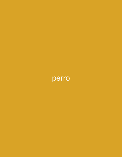The image displays the Spanish word "perro" (dog) in white, sans-serif, lowercase letters, precisely centered on a solid mustard yellow background. This visual content is presented within the context of the city of Juan Griego, Venezuela.