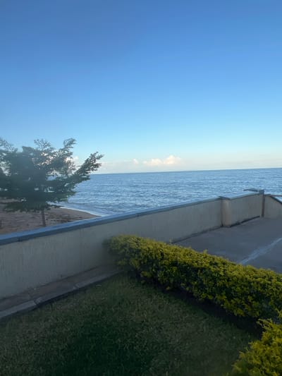 A landscape photograph taken from a high angle, possibly a balcony, shows a view of Lake Malawi in the city of Dowh, Malawi. The image is composed of sky on the left, water in the center, and vegetation on the right. A thin, light-colored structure runs vertically, dividing the water from the vegetation. A tree is present in the lower-left corner, partially obscuring the beach. The sky is mostly clear blue.