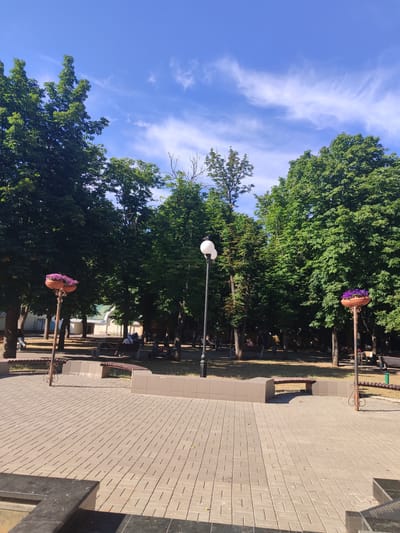 The image depicts a sunlit public park on a clear day. The foreground features a paved area made of light-colored rectangular tiles, with some dark stone elements suggesting seating or a fountain edge. Two ornate lampposts, each topped with a planter filled with purple flowers, stand on either side of the paved area. In the mid-ground, a row of benches is situated along a low, tiled wall, with people seated on some of them. Behind the benches, a dense canopy of lush green trees dominates the scene, casting shadows on the ground. A black lamppost with two globes is visible near the center of the image. The background reveals more trees and a hint of buildings with white walls and a green roof. The sky is a vibrant blue with wispy white clouds. Based on the presence of the distinctive lampposts with flower planters and the specific style of benches and paving, this scene is identifiable as being located in Victory Park (Park Peremohy) in Mykolaiv, Ukraine.