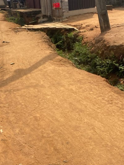 The scene depicts an unpaved, reddish-brown laterite dirt road in a semi-urban or peri-urban area of Lagos, Nigeria, under direct sunlight, evidenced by harsh shadows. The road occupies the foreground and midground, showing numerous tire tracks and boot prints. A significant, eroded drainage ditch or gully, approximately 1-2 meters deep, runs parallel to the road on the right side, separating it from the background structures. This gully is heavily overgrown with green foliage, including ferns and various grasses.

Spanning the gully in the midground is a rudimentary, makeshift wooden bridge, constructed from several irregular planks of light-colored wood laid side-by-side, without visible railings or substantial supports beyond resting on the gully's edges.

In the background, on the far side of the gully, are several simple, single-story structures. To the left, a building with a red-painted concrete base and light-colored wooden siding features a small, raised concrete step. A red plastic crate is visible on a wooden stand outside this building. To the right, another building exhibits dark, corrugated metal or wooden siding. A weathered gray utility pole stands upright on the right side of the scene, casting a long shadow diagonally across the dirt road. Indistinct human figures are partially visible in the distant background near the left building, but their actions or identities cannot be discerned. There are no active interactions or specific actions depicted in the primary focus of the image.