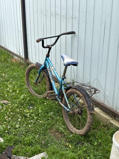 An old, blue bicycle leans against a pale, corrugated metal fence in the city of Ilpanur, Russia. The bicycle is covered in dirt and mud, suggesting it has been left outdoors for some time. Its tires are thick and treaded, and a rusty wire rack is attached to the back. The seat is blue and appears to be padded. The bicycle is positioned on a patch of green grass dotted with small white flowers, possibly clover. The area around the bicycle is overgrown with weeds and some debris is visible on the ground. The fence is tall and separates the grassy area from what appears to be an adjacent property. The overall scene depicts an abandoned or disused bicycle in a slightly neglected outdoor setting.