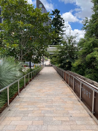 An image taken outdoors captures a paved pedestrian walkway extending into the distance under a bright sky. The walkway, constructed from light-toned rectangular paving stones, features a metal railing with multiple horizontal bars along its right side. Behind this railing are landscaped planter boxes filled with various green plants and ornamental grasses. Further to the right, a dark brown panel with white text is visible, clearly stating "MAIN ACCESS TO THE PORT".

To the left of the walkway, abundant green trees and foliage create a natural border. A large, leafy tree dominates the immediate foreground on this side. In the background, partially obscured by trees, stands a modern high-rise building with a distinctive dark, textured facade, possibly featuring a green corporate logo. A streetlight pole also rises against the sky. The overhead sky is bright blue with scattered white, fluffy clouds, indicating clear daytime weather. No people are clearly visible on the pathway. The scene depicts a well-maintained urban or park-like environment, suggesting a public pathway providing access towards a port, consistent with the South Brisbane, Australia location context.