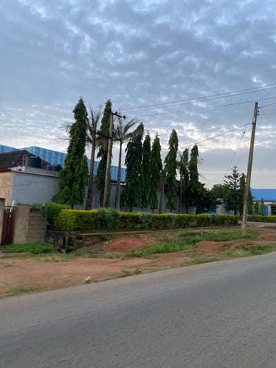 The image depicts a street scene in Gwong, Nigeria. In the foreground, a paved road stretches diagonally from the bottom left to the bottom right. Beyond the road, a strip of unpaved ground with some sparse green vegetation and reddish-brown soil separates the road from a neatly trimmed hedge of bright green bushes. Behind the hedge, a low concrete wall marks the boundary of a property. Tall, slender cypress-like trees are planted in a row along the property line, interspersed with palm trees.
The buildings visible behind the trees include a structure with a light gray, textured wall, topped by water tanks and a blue corrugated roof. Further along, another building features a blue wall with vertical ridged panels and a blue roof. A wooden utility pole with electrical wires is positioned on the right side of the image, extending upwards. The sky is overcast with a mosaic of light and dark gray clouds. The overall impression is one of an overcast day in a semi-urban or industrial area. There are no people or animals visible in the frame.