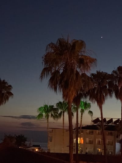 In Alanya, Turkey, at dusk, a cluster of palm trees frames a view of a multi-story building and the sky. The sky transitions from a deep blue at the top to a lighter hue near the horizon, with a single bright star visible. The palm trees, some illuminated with green lights, vary in height and density. The building, with visible windows, some lit with orange and white light, is topped with solar panels. The foreground is dark, obscuring any ground details.