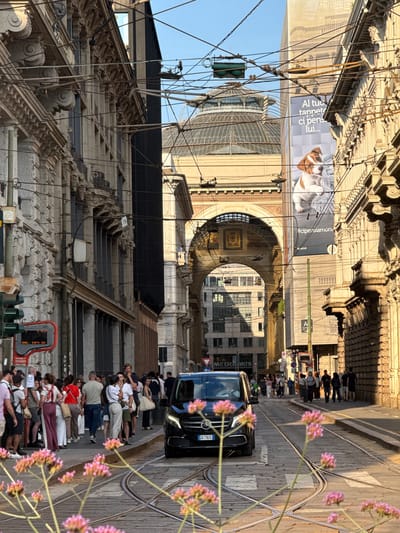 This image depicts a bustling street scene in Milan, Italy, specifically looking towards the Galleria Vittorio Emanuele II, likely from Via Tommaso Grossi or a connecting street near Piazza Cordusio.
In the immediate foreground, a cluster of blurred pink-purple wildflowers occupies the lower frame. Behind them, tram tracks with wooden sleepers converge on a cobbled or paved street. A black Mercedes-Benz V-Class minivan, with license plate CK-736TL, is stationary on these tracks, facing away from the viewer.
On the left side of the street, a dense group of approximately twenty to thirty pedestrians, casually dressed in summer attire, stands and walks along the sidewalk. A red digital display sign, partially visible with text "5 MIN", "ONE. INFO SU", and "Fermata N", is mounted on a pole adjacent to a green traffic light. The buildings on the left are multi-story and feature classical architectural details, including elaborate cornices, columns, and iron balconies.
On the right side of the street, a multi-story building with ornate classical architecture features an advertisement banner depicting a Jack Russell terrier dog and Italian text that begins "Al tuo tappeto ci pens lui..." and includes the hashtag "#cipensiamonoi". A network of overhead electrical wires for trams crisscrosses the clear blue sky, partially obscuring the buildings and banner.
In the mid-ground, a grand, ornate archway frames the view further down the street. Inside the archway, a decorative mosaic with gold accents is visible. Beyond this archway, the distinctive large glass and metal dome of the Galleria Vittorio Emanuele II dominates the background skyline, reflecting the sunlight. Further through the archway, additional urban buildings are visible, including a red McDonald's sign on the left side of the distant street. The scene is illuminated by bright sunlight, suggesting late afternoon or early morning, casting defined shadows.