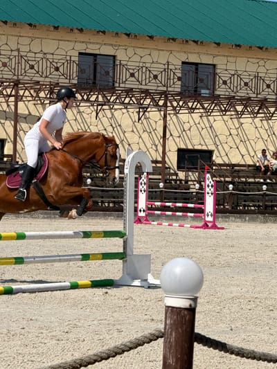 The image captures a horse and rider during an equestrian event at a farm in Fryazino, Russia. A brown horse, mid-jump over a white and green striped obstacle, is being ridden by a person wearing a white riding suit and a black helmet. The background features a light-colored building with a green roof and a metal railing, and bleachers where a few spectators are seated. The ground is covered in light-colored sand, typical of an equestrian arena.