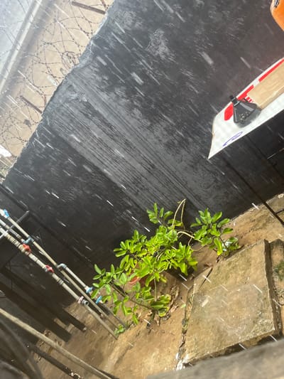 In Abuja, Nigeria, during a downpour, a lush green plant grows next to a concrete slab. Overhead, barbed wire fencing is visible against a dark, weathered metal surface, likely a roof or wall. Several pipes with red and blue valves run along the bottom left of the frame. A portion of an object, possibly a flat board with a black device attached, rests on the upper right portion of the metal surface. Raindrops are clearly visible streaking through the air.