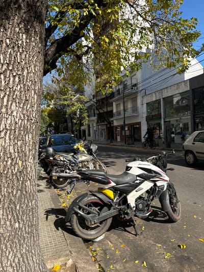 The image depicts a street scene in Buenos Aires, Argentina. A large tree trunk dominates the foreground, obscuring some of the background details. Parked along the street are several motorcycles, one white and black, and another black. Buildings line the street, with a mix of residential and commercial properties visible. A person on a bicycle is visible further down the street, and a parked car is partially visible near the motorcycles. The street surface is asphalt, with fallen leaves scattered around. The lighting suggests it is daytime.