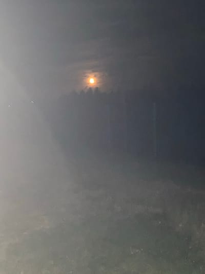 The image depicts a nighttime scene dominated by fog or mist. In the upper center, a luminous, orange-hued circular object, likely the moon partially obscured by atmospheric conditions, is visible. Below this, a dark, silhouetted line suggests the presence of trees or a treeline. To the left of the moon, two small, bright white dots are present in the fog, their nature unclear. The lower portion of the image is obscured by a lighter, hazy fog, with indistinct shapes that could be ground features. The overall impression is one of a dimly lit, atmospheric night, potentially in a rural or semi-rural area. No specific landmarks of Zastavna, Ukraine are discernible.
