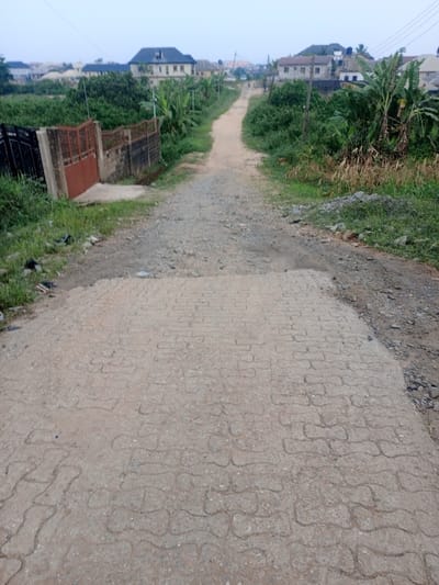 The image depicts a dirt road in Magboro, Nigeria, extending into the distance under an overcast sky. In the immediate foreground, a rectangular section of the road is paved with light brown interlocking concrete blocks. This paved area transitions to an unpaved, gravelly dirt track further ahead. To the left, a dark brown metal gate is partially open, set within a low, grey concrete block wall. Green grass and sparse dark refuse are visible near the wall. Beyond the wall and along the left side of the road, dense green vegetation, including bushes and tall grass, is present. On the right side of the road, similar dense green vegetation, including several banana plants, lines the path, with a small pile of rocks and debris on the shoulder. In the midground, the dirt road ascends slightly and curves gently to the right. In the distant background, residential buildings with varying roof styles are visible on both sides of the road, partially obscured by trees and vegetation. A prominent two-story building with a dark roof stands on the left in the background. No individuals or vehicles are present.