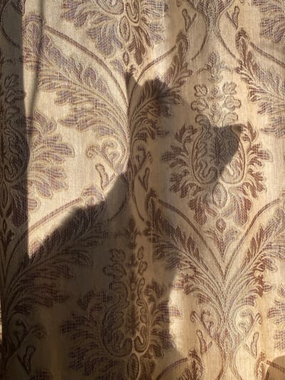 The image shows a close-up of a fabric curtain with a damask pattern in shades of gold and brown. A shadow of a person, likely with a pointed ear shape, is cast diagonally across the curtain, suggesting the sun is shining from the left. The texture of the fabric is visible, with the threads creating a subtle sheen and depth to the pattern. The lighting creates a contrast between the illuminated areas and the shadowed areas. The location is not specified in the image.