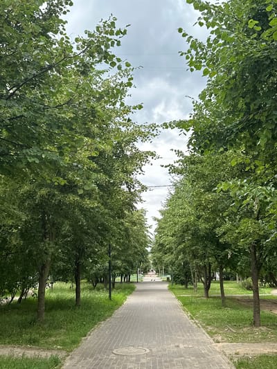 The image shows a paved pathway lined with trees on both sides, leading into the distance under a cloudy sky. The pathway is made of rectangular grey bricks. Green grass grows on either side of the path, and the trees have full, green foliage. In the distance, there are a few indistinct figures walking on the path, and some benches are visible. Overhead, power lines are strung across the sky. The scene appears to be a park or a tree-lined street in an urban area.