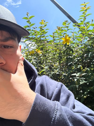 The image shows a close-up of a person's face and upper body, wearing a dark blue hoodie and a grey hat. The person's right hand is touching their face. In the background, there is lush green foliage with yellow flowers, under a bright blue sky with a few white clouds. A metal structure is visible in the upper right corner. The lighting suggests it is a sunny day. The scene is outdoors, possibly in a garden or park. There is no indication of the specific location within Dacorum, United Kingdom.