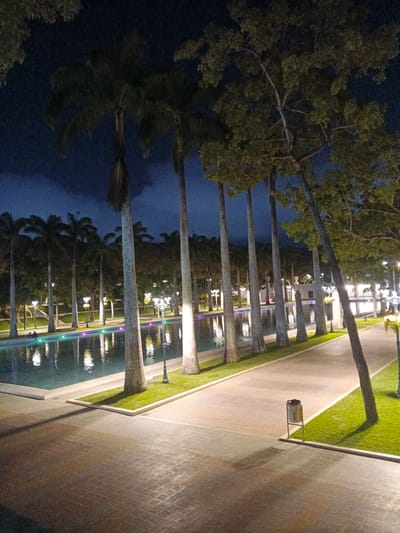 This image captures a serene nighttime scene in a park or public space, likely in Caracas, Venezuela. The setting features a long, rectangular pool of water with illuminated lights reflecting on its surface. These lights appear in various colors, including green, purple, and white, creating a vibrant, almost mystical ambiance on the water.
Flanking the pool is a neatly manicured lawn and a paved pathway. A row of tall palm trees with distinct, slender trunks lines the edge of the pathway, their dark silhouettes contrasting with the illuminated surroundings. Some of these palm trees are quite tall, reaching towards the dark night sky. Adjacent to the palm trees, other trees with fuller canopies are also visible, adding to the lushness of the landscape.
The pathway is illuminated by ornate lampposts, casting a warm glow on the paved surface and the surrounding grass. A trash bin with a metallic finish is placed along the pathway. In the distance, buildings or structures can be faintly seen, suggesting an urban or semi-urban park environment.
Two people are subtly visible in the pool area, seated by the edge, seemingly enjoying the tranquil atmosphere. Their presence is minimal, emphasizing the overall peacefulness of the scene. The time of day is clearly night, with a dark, cloud-filled sky. The weather appears calm, with no indication of rain or strong winds. The lighting suggests a clear, stable evening. The image evokes a sense of calm and relaxation, inviting viewers to imagine a peaceful evening stroll or quiet contemplation in this beautifully lit outdoor space. No visible text is present in the image.