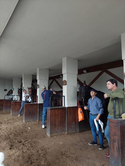 The image shows a series of horse stalls, likely in a stable or equestrian facility. The stalls are constructed with wooden walls and metal bars, with sand or dirt flooring visible in front of them. Several horses are housed in the stalls, with varying coat colors, including black and brown.
People are visible in the scene, attending to the horses. One person is wearing a blue shirt and jeans, holding the reins of a black horse. Another individual is dressed in a green shirt, leaning against a stall.
The location may be in the city of Buenos Aires, Argentina, given the cultural prevalence of equestrian activities in the region. The environment is typical of a stable or equestrian facility, with the focus on housing and caring for horses.