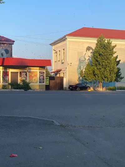In Antratsyt, Ukraine, a black sedan is parked on the side of a street in front of a building with a large mural of a man wearing sunglasses and a denim jacket. To the left of this building is a small yellow storefront with a red roof, displaying various floral arrangements and signage. Birds are visible in the sky above. The street in the foreground is asphalt, with a curb and some debris, including a red plastic bag, scattered on the surface. The sun is low in the sky, casting long shadows and illuminating the scene.