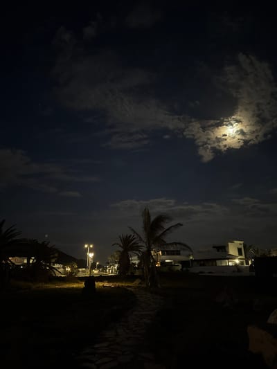 This nighttime photograph captures a serene outdoor scene, likely within a residential or resort area in Yaiza, Spain. The dominant feature is the dark night sky, partially covered by scattered clouds. A bright, nearly full moon pierces through the clouds in the upper left, casting a luminous glow and creating a dramatic interplay of light and shadow on the cloud formations.

On the right side of the frame, several modern, white-colored buildings with flat roofs are visible, some with illuminated windows, suggesting occupancy. In the middle ground, palm trees stand tall, their dark silhouettes contrasting against the lighter sky and the artificial lights. Multiple streetlights with warm, yellow-orange glow illuminate a paved pathway that winds through a grassy area, leading towards the buildings. Other smaller shrubs and ground cover are also present, dimly lit by the streetlights and moonlight.

The time of day is clearly night, evidenced by the dark sky and prominent artificial lighting. The weather appears to be cloudy, yet the moon's brightness still penetrates, creating a captivating celestial display. No specific activity or event is taking place; the scene conveys a sense of peaceful tranquility. There is no visible text in the image.