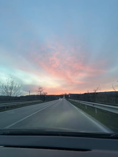 The image displays a two-lane asphalt road at dusk or dawn, observed from the interior of a vehicle, located near Palamartsa, Bulgaria. The sky transitions from light blue at the zenith to vibrant pink and orange hues at the horizon, indicative of low sun conditions. Stratified clouds are visible, reflecting these colors. The road surface appears wet or reflective and is delineated by double white solid lines. Metal guardrails line both sides of the roadway. Sparse, bare deciduous trees and patches of green grass flank the road shoulders. Undulating dark landmasses form the distant horizon. Utility poles with overhead lines are present on both the left and right sides of the road. Two vehicles with illuminated headlights are visible in the distance, traveling on the road. Multiple white triangular road signs are discernible along the roadside. The bottom edge of the frame shows the dashboard or windshield base of the photographing vehicle.