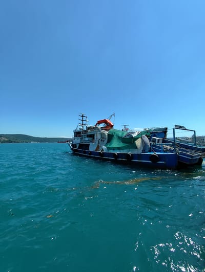 In the city of Sarıyer, Turkey, a bright, clear day illuminates a body of water where several boats are docked or anchored. The foreground is dominated by the shimmering turquoise water, with ripples and a few patches of floating debris. A large blue and white boat, with a prominent orange life raft visible, is the main subject. It appears to be moored, with ropes connecting it to other vessels. The boat is covered in places with a green tarp, suggesting some sort of cargo or shelter. Behind this main boat, other vessels are visible, some also blue and white, and others appearing to be smaller. In the background, a lush green, hilly coastline stretches across the horizon, under a vast, cloudless blue sky. The scene suggests a working harbor or a quiet anchorage along the coast.