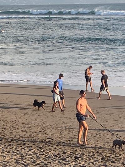 In North Kuta, Indonesia, a beach scene unfolds with several individuals and dogs. The ocean, with moderate waves, forms the backdrop. In the foreground, a bare-chested man wearing blue patterned swim trunks walks a small grey dog on a leash. To his left and slightly behind, another man with a tanned torso, wearing black swim trunks, is walking. Further back, a couple is strolling along the wet sand; the woman wears a light blue dress and the man a blue t-shirt and dark shorts. A small black dog walks ahead of them on the sand. In the distance, several figures are visible on surfboards in the ocean, and other individuals are walking along the shoreline. The sand is light brown and textured.