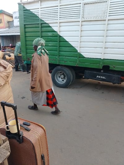 The scene is a street in Malava, Kenya (latitude: 0.489, longitude: 34.837). A woman wearing a brown jacket, a green headscarf, a plaid skirt, and red pants is walking to the left. She is carrying a brown suitcase with a black handle. She is walking in front of a large green and white truck with a “DIESEL” sign. The truck is parked on the right side of the street. The street is paved and there is a building in the background.