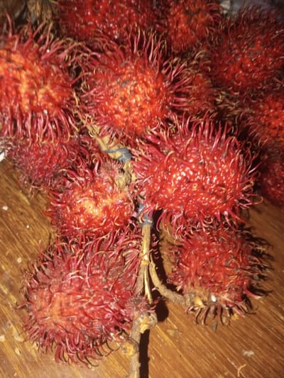 A cluster of rambutan fruits rests on a wooden surface. The rambutan are red, oval-shaped, and covered in soft, hair-like spines. The fruits are attached to a twig, secured with a dark band. Some fruits appear fresher, while others exhibit slight browning, suggesting varied ripeness. The wooden surface provides a warm, neutral background.